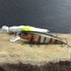 Воблер Condor 3D Minnow 65F 65мм. 5.5гр. 0-0.8м. #285