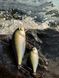 Воблер Condor Fishing Artful Crucian 70F 70мм 11г 0-1.0м Колір: 551