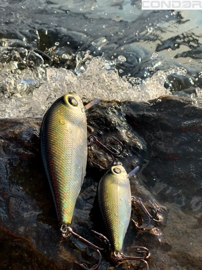 Воблер Condor Fishing Artful Crucian 70F 70мм 11г 0-1.0м Колір: 551, фото 2
