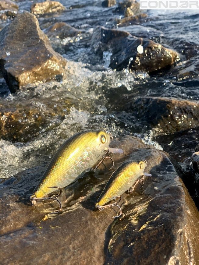 Воблер Condor Fishing Artful Crucian 70F 70мм 11г 0-1.0м Колір: 551, фото 3